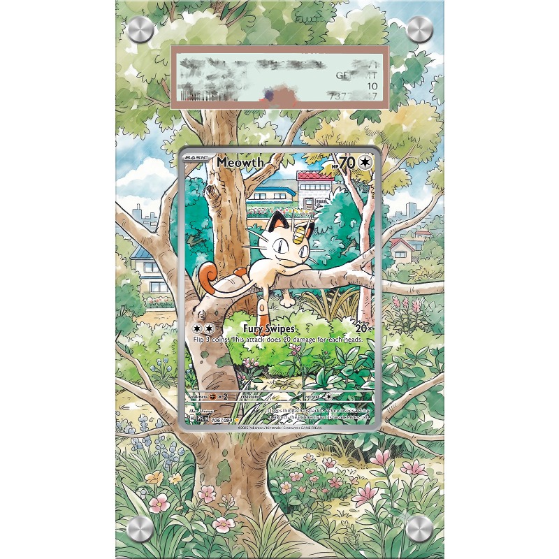 กล่องอะคริลิคสำหรับเก็บการ์ดโป - Anime Merchandise From Japan บทวิจารณ์และราคา